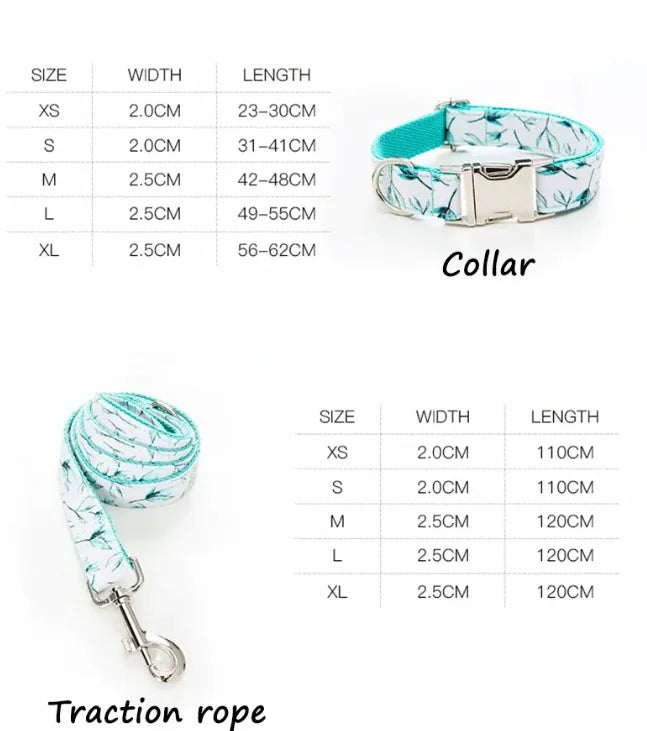 Elegant Pet Collar, Bowtie & Leash set