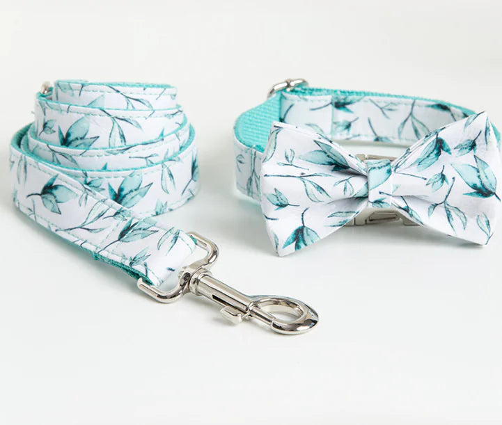 Elegant Pet Collar, Bowtie & Leash set