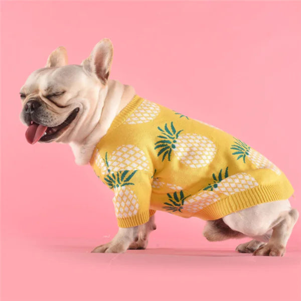 Pineapple Knit Dog Sweater