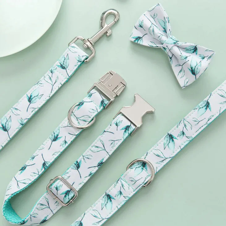 Elegant Pet Collar, Bowtie & Leash set