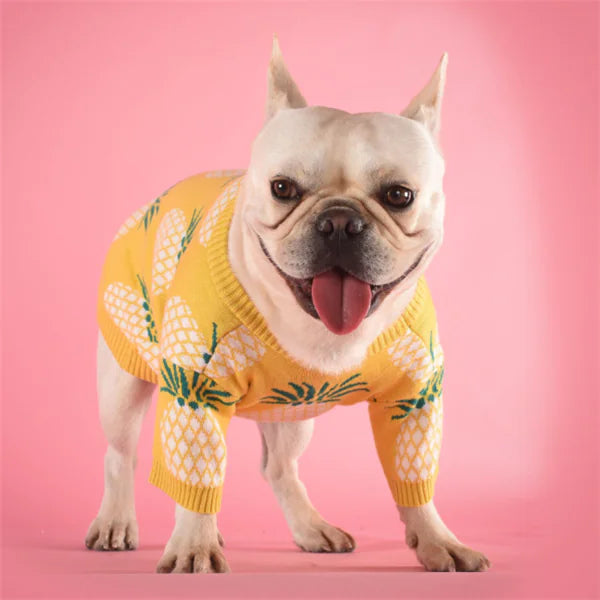 Pineapple Knit Dog Sweater