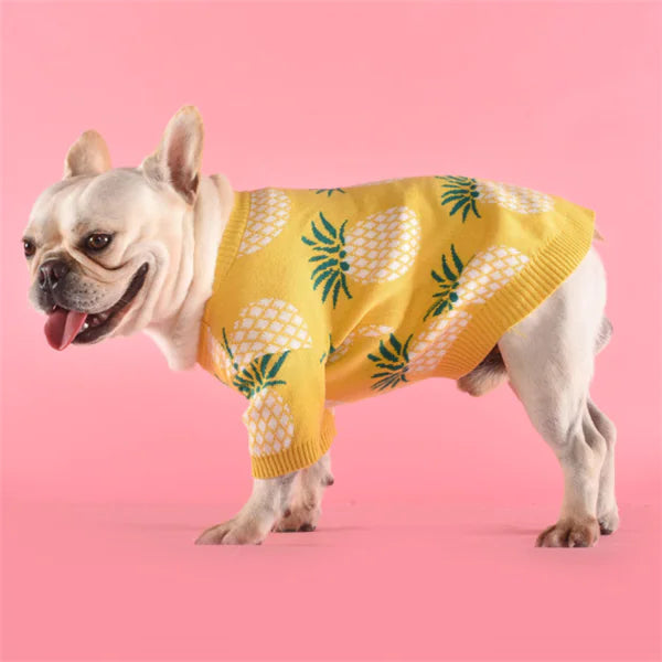 Pineapple Knit Dog Sweater