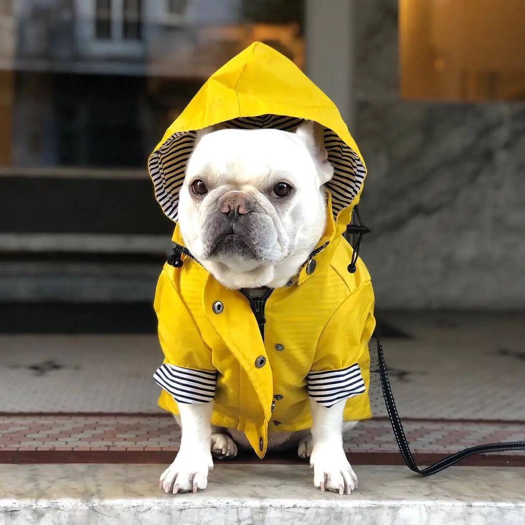 Retro Windproof Dog Raincoat
