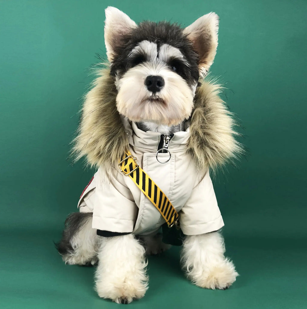 Winter Padded Dog Coat for Teddy and Pomeranian