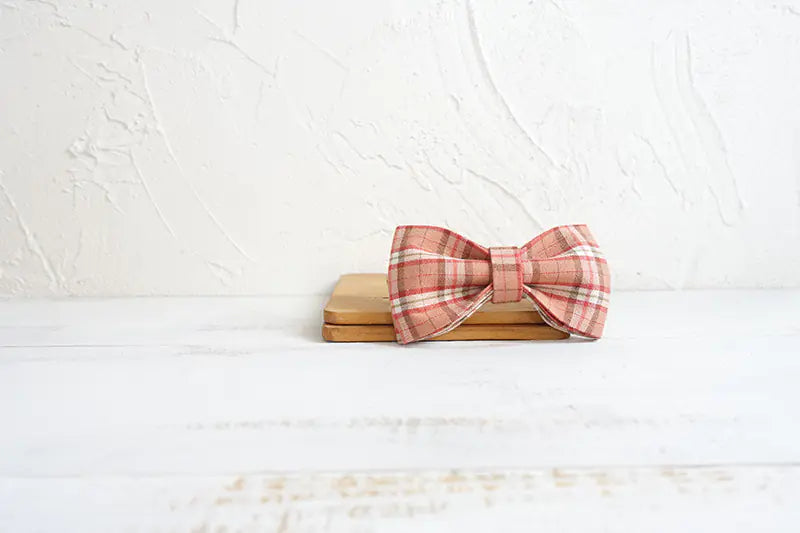 Bowtie Dog Leash Set