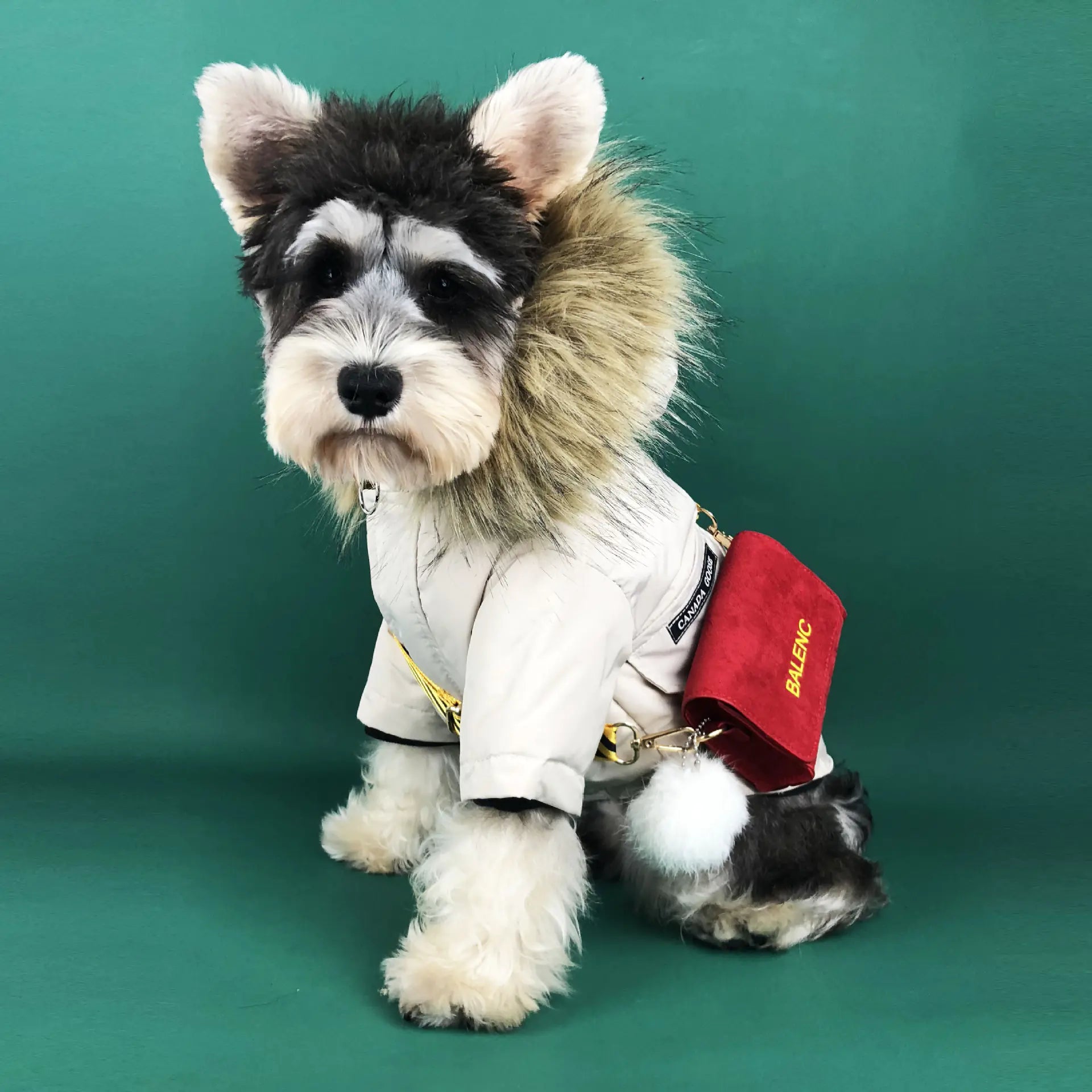 Winter Padded Dog Coat for Teddy and Pomeranian