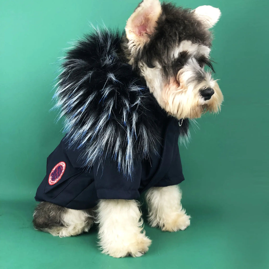 Winter Padded Dog Coat for Teddy and Pomeranian