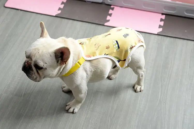 Bulldog Menstrual Pants