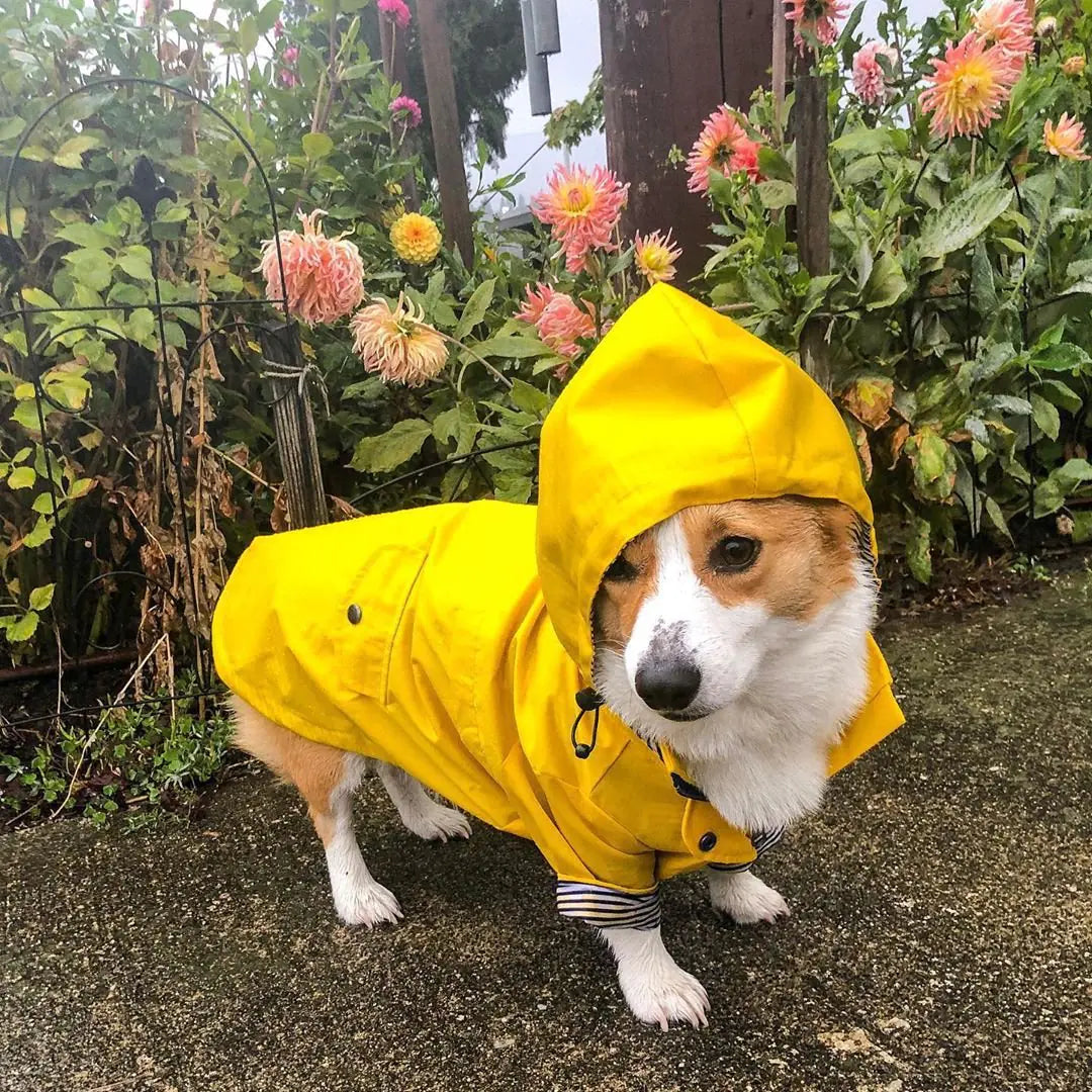 Retro Windproof Dog Raincoat