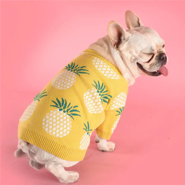 Pineapple Knit Dog Sweater